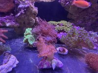 IMG_2063.jpeg