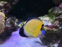 IMG_4330.jpeg