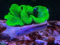IMG_4320.jpeg