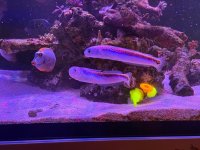 IMG_4346.jpeg