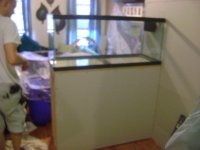 Fish Tank Project 2009 035.jpg