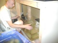 Fish Tank Project 2009 048.jpg