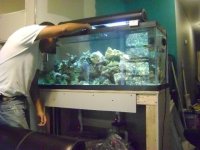 Fish Tank Project 2009 002.jpg