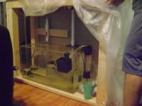 Fish Tank Project 2009 055.jpg