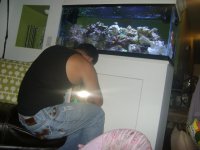 Fish Tank Project 2009 091.jpg