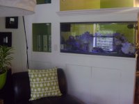 Fish Tank Project 2009 080.jpg