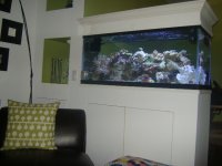 Fish Tank Project 2009 114.jpg