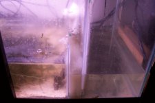 sump1.JPG