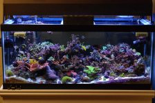 17Aquarium9:6:9.jpg