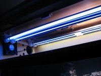 IMG_4253.jpg