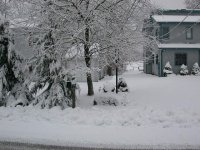 today snow 006.JPG