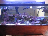 Anthony's Tank 016.jpg