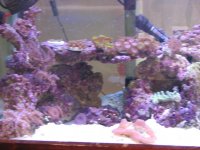 Anthony's Tank 019.jpg