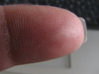 Fingertip pics 002.jpg