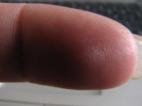 Fingertip pics 005.jpg