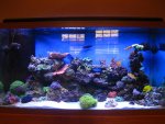 new tank pics 016.jpg