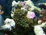 IMG00059-20090820-1432.jpg