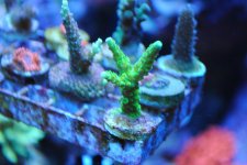 2010-7-16 018.jpg