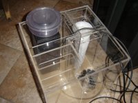 Bio Cube 29g Sump 004.JPG