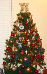 ChristmasTree.jpg