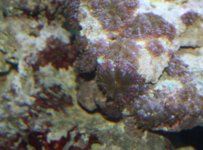 IMG_0930.JPG