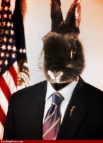 Rabbit-for-president--80529.jpg