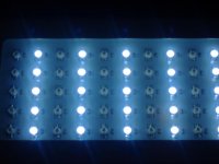 blue led 003.jpg