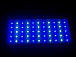 blue led 005.jpg