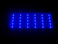 blue led 004.jpg