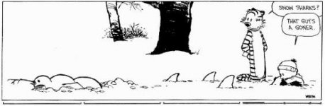 CalvinHobbes5.JPG