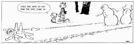 CalvinHobbes6.JPG