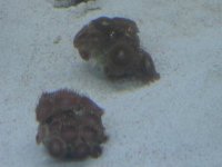 DSC00240.jpg