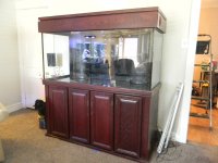 good tank pics 013.JPG