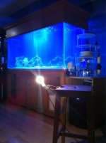 ImageUploadedByReefs1347410497.325541.jpg