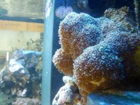 IMG_20130124_103548.jpg