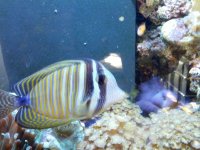 IMG_20130124_103955.jpg