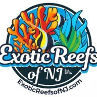 Exotic Reefs of NJ