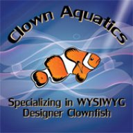 ClownAquatics