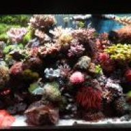 garys reef