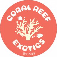 Coralreefexotics