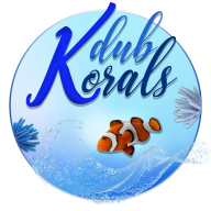 Kdub Korals