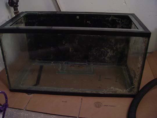 Sump-1.jpg