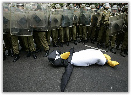 dead-penguin.jpg