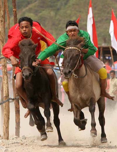 gayo-horse-race.jpg