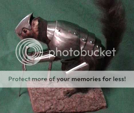 body_armor_squirrel_1sfw.jpg