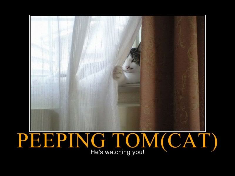 PeepingTom.jpg