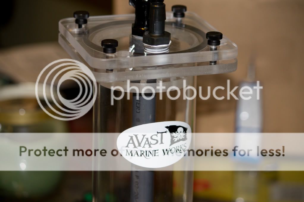 Avast-5.jpg
