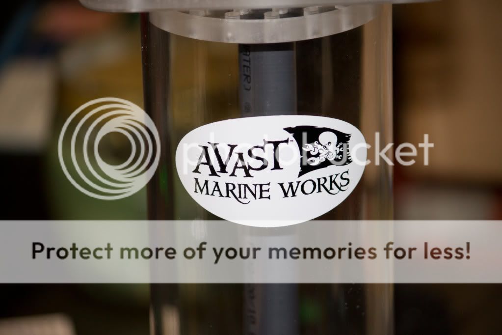 Avast-8.jpg