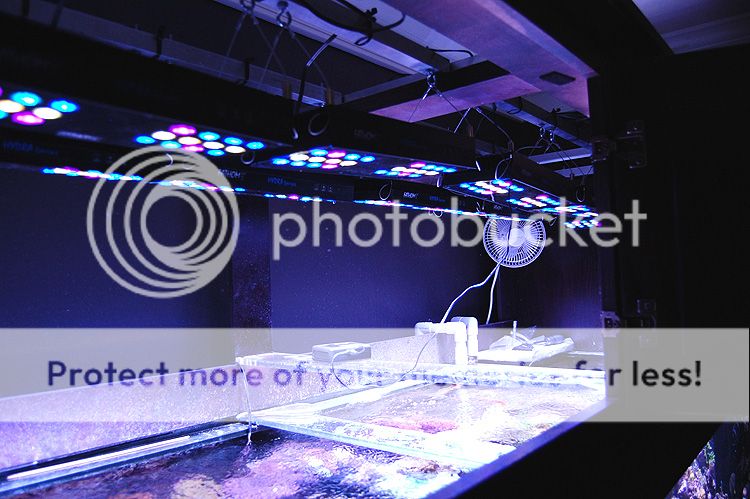 0168_Lights_zpsc07cba09.jpg