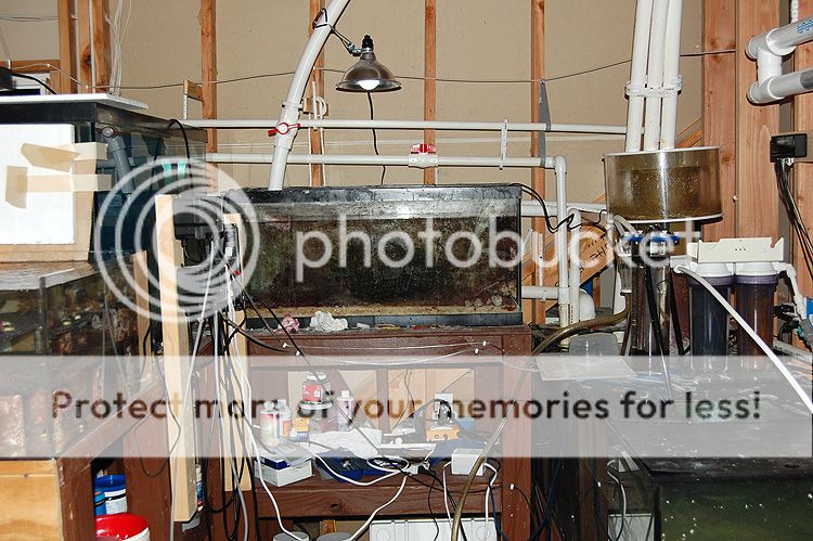0348_SumpRoom2_zps0a3066f5.jpg